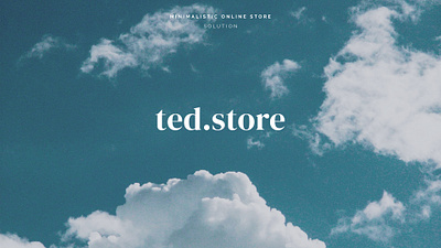 Ted Store 2024 design shoes sneakers sport store ui web design