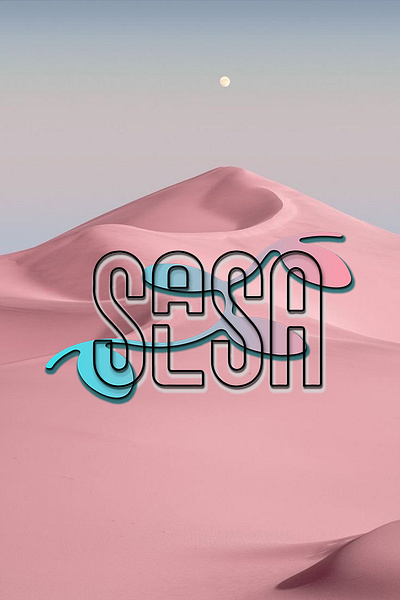 Logo "Salsa" branding design graphic design illustration logo photo photoshop айдентика бренд маркетинг мокап презентация лого стиль фигма фотошоп