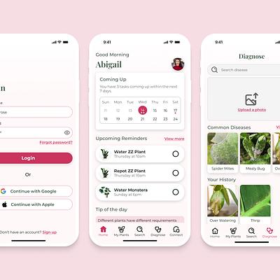 Plantopedia app branding design graphic design plants typography ui