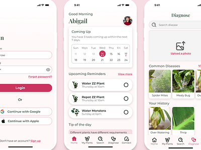 Plantopedia app branding design graphic design plants typography ui