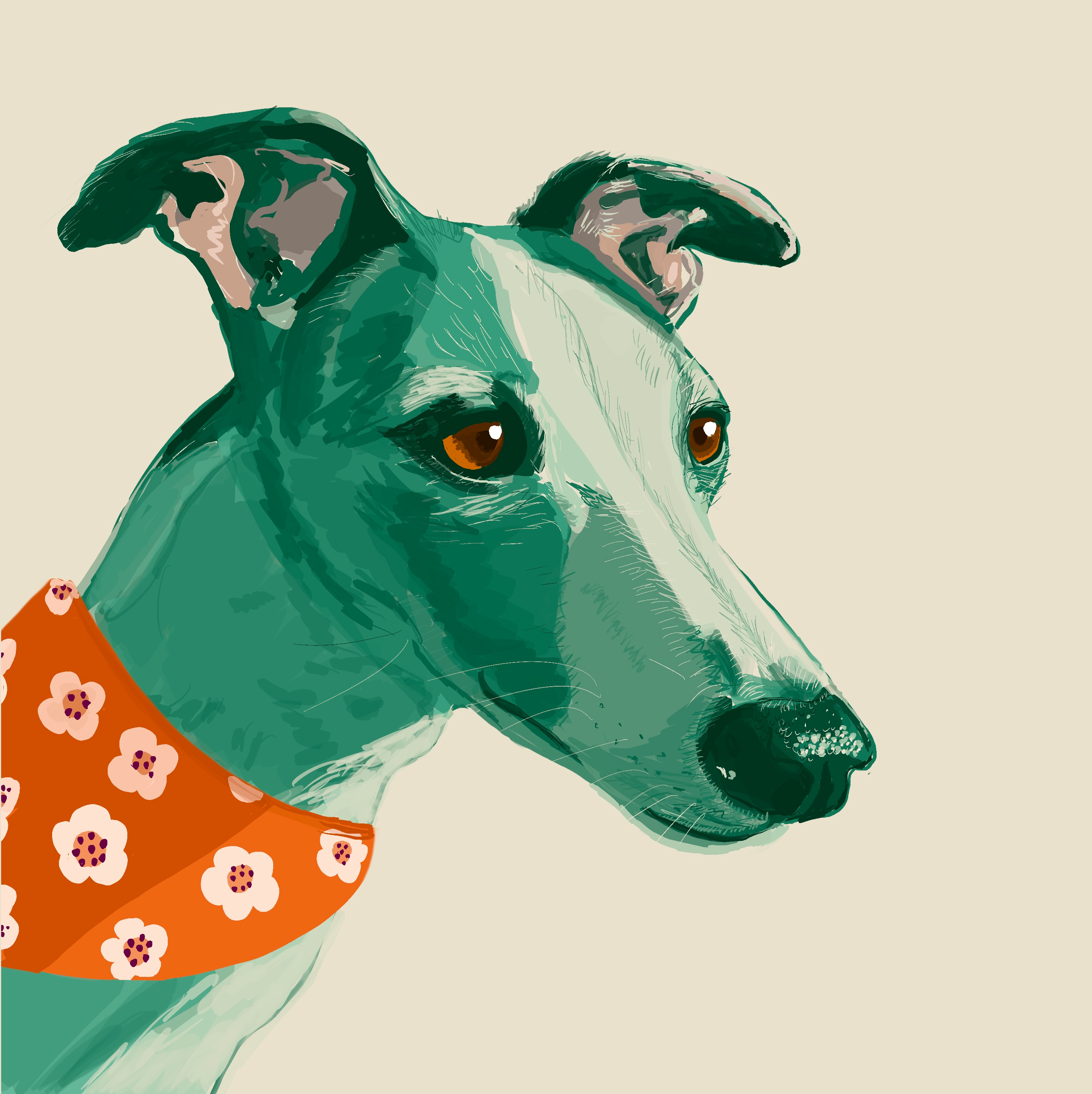 Daphne dog drawing illustration popart procreate whippet