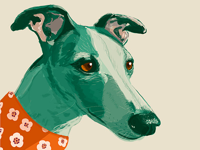 Daphne dog drawing illustration popart procreate whippet