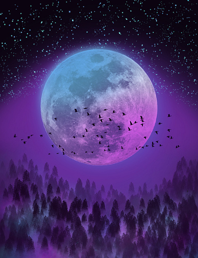 Background Design background birds dark design designing drawing illustration moon night procreate purple sketch trees ui wallpaper