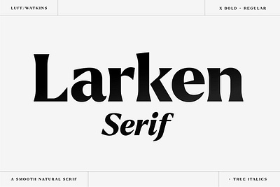 Larken - A Beautiful Serif display font fashion font gentle header font italic font larken latin logo logo font magazine font minimalist modern serif organic retro serif serif typeface