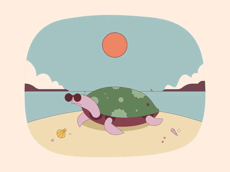 Turtle 2d animation animations beach branding design freelance illustration moon motion design sun vector