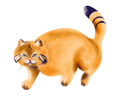 Pallas cat illustration