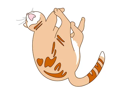 Miau miau illustration