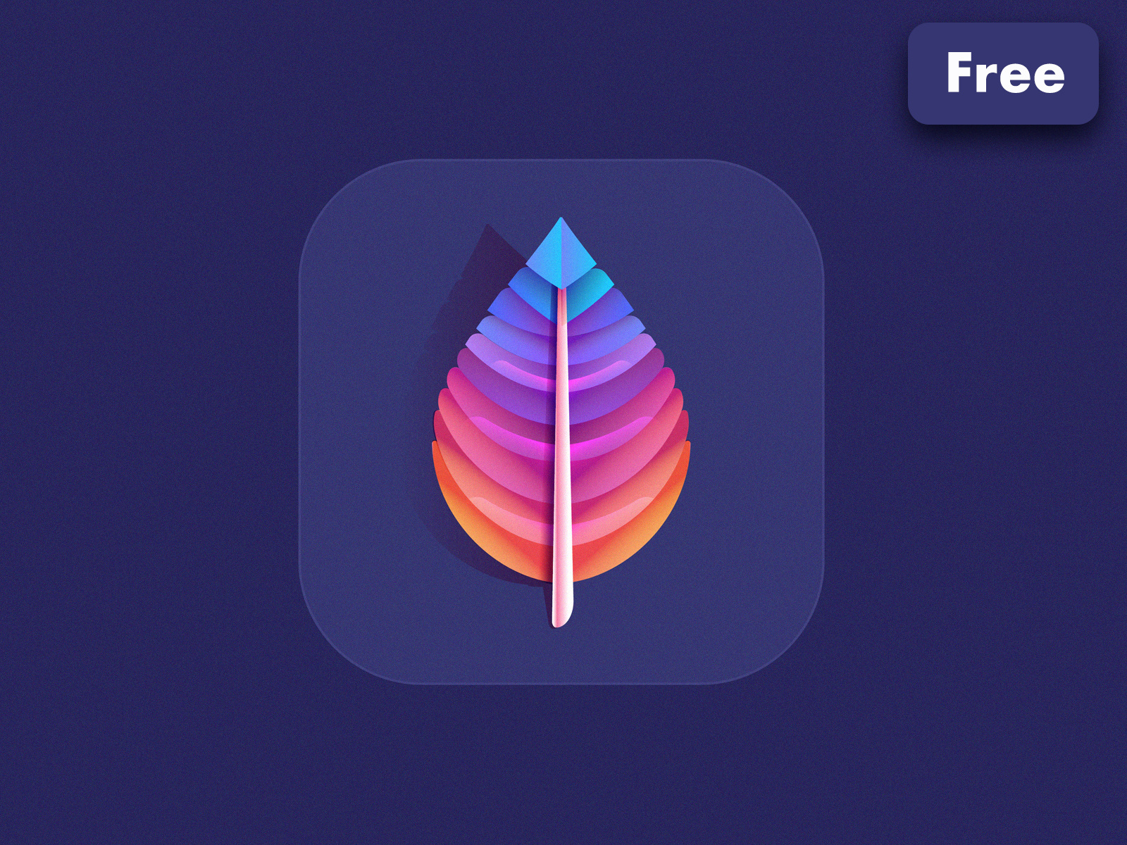 Colorful Feather Icon by Diana Hlevnjak on Dribbble