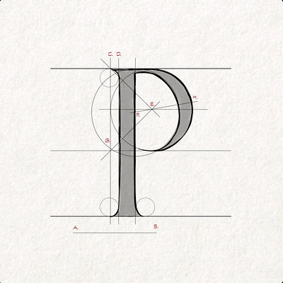 Construction Of The Letter P alphabet animation font letter p roman type typography