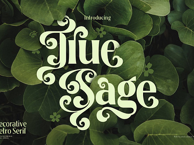 True Sage - Decorative Serif Family art font autumn autumn floral beauty font blackletter bold serif branding decorative serif flourish gothic halloween lettering font logo font pretty pretty font stylistic alternates swirly font unique font victorian