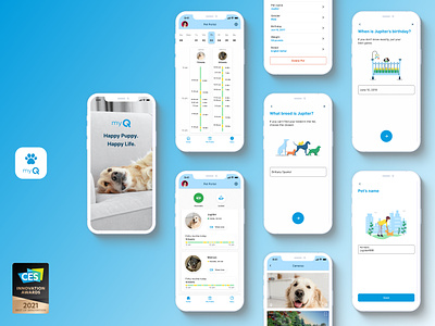 Pet Portal app award design dog mobile myq pet portal ui ux
