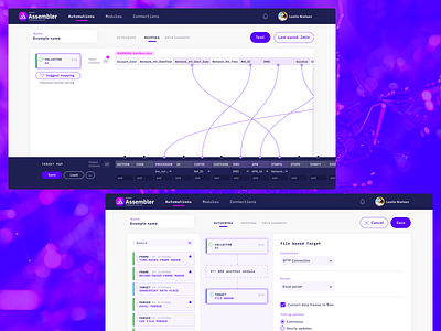 Elevada Assembler automation data monterail technology ui violet visualisation web