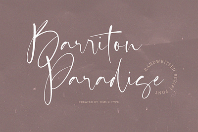 Barriton Paradise - Handwritten Script Font branding design font fonts graphic design handwritten font script script font wedding font