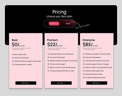 Pricing plan branding graphic design ui