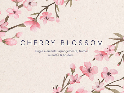Cherry Blossom Watercolor Design Elements blossom png cherry cherry blossom frame graphics png pattern png png download spring