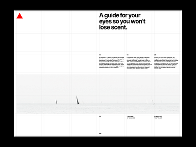 Guide For Your Eyes 09 clean concept design graphic design layout minimal