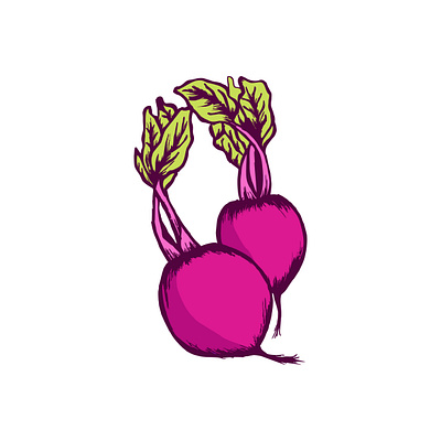 Beetroot Illustration colorful delicious drawing earthy fresh harvest healthful illustration juicy nutritious organic purple red rich root texture vector vegetable vibrant wholesome