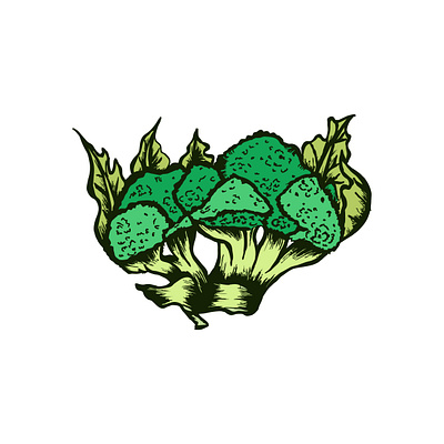 Broccoli Illustration crunchy culinary delicious drawing fiber florets fresh green healthy illustration leafy minerals nutritious organic superfood vector vegetarian vibrant vitamins wholesome