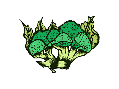 Broccoli Illustration crunchy culinary delicious drawing fiber florets fresh green healthy illustration leafy minerals nutritious organic superfood vector vegetarian vibrant vitamins wholesome