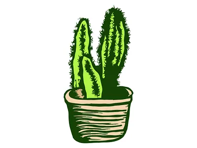 Cactus Illustration adaptation barrel bloom desert diversity drawing dry ecosystem heat illustration landscape sand sharp southwest spiky spines succulent thorn unique vector