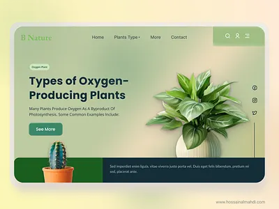 Plants B Nature branding graphic design logo ui