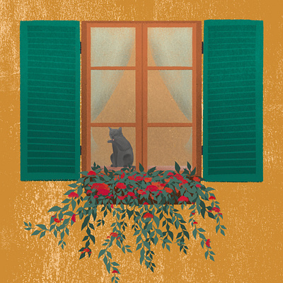 Cat in the window illustration procreate