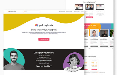 Pick My Brain Website Design app branding dashboard design graphic design illustration logo mobile app design ui ux website design