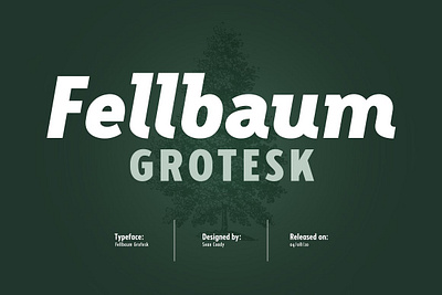 Fellbaum Grotesk Full apothecary label clean cursive fellbaum grotesk full font fonts grotesk grotesque italic oblique old style open type opentype sans slab