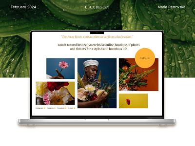 Online Store For Plant Shop E-commerce branding ui ui|ux web web design web e commerce