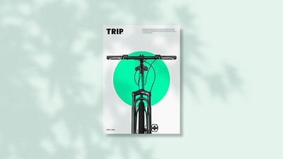 TRIP branding design graphic design logo typography vector
