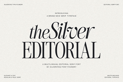 The Silver Editorial - Modern & Chic Serif Font branding creative creative font creative market editorial font elegant graphic design italic font logo products serif serif font