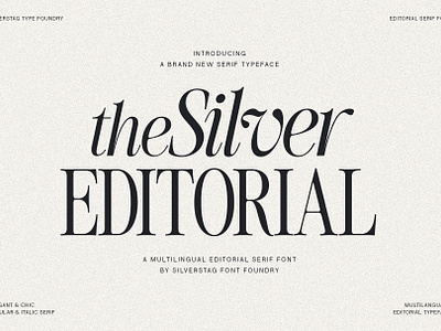 The Silver Editorial - Modern & Chic Serif Font branding creative creative font creative market editorial font elegant graphic design italic font logo products serif serif font