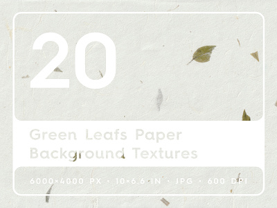 20 Green Leafs Paper Textures chinese paper texture craft paper textures decorative paper textures floral paper textures hand made textures japan paper textures japanese paper textures leaf paper textures leaves paper textures natural paper textures organic paper textures paper paper backdrops paper backgrounds paper surfaces paper textures rice paper textures textures