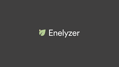 Enelyzer Logo logo