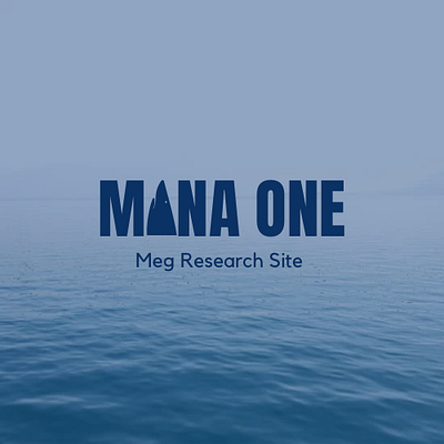 Logo for Meg research site branding design graphic design graphicdesigner logo logodesign portfolio