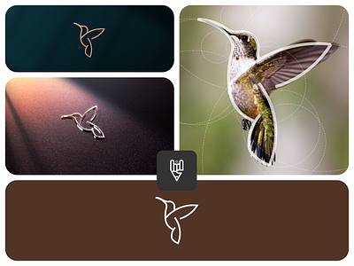 Hummingbird Logo app bird branding design flat graphic design hummingbird icon illustration logo logo design ui vector