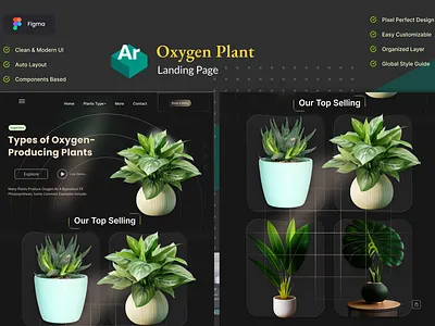 Landing page Demo branding graphic design logo ui