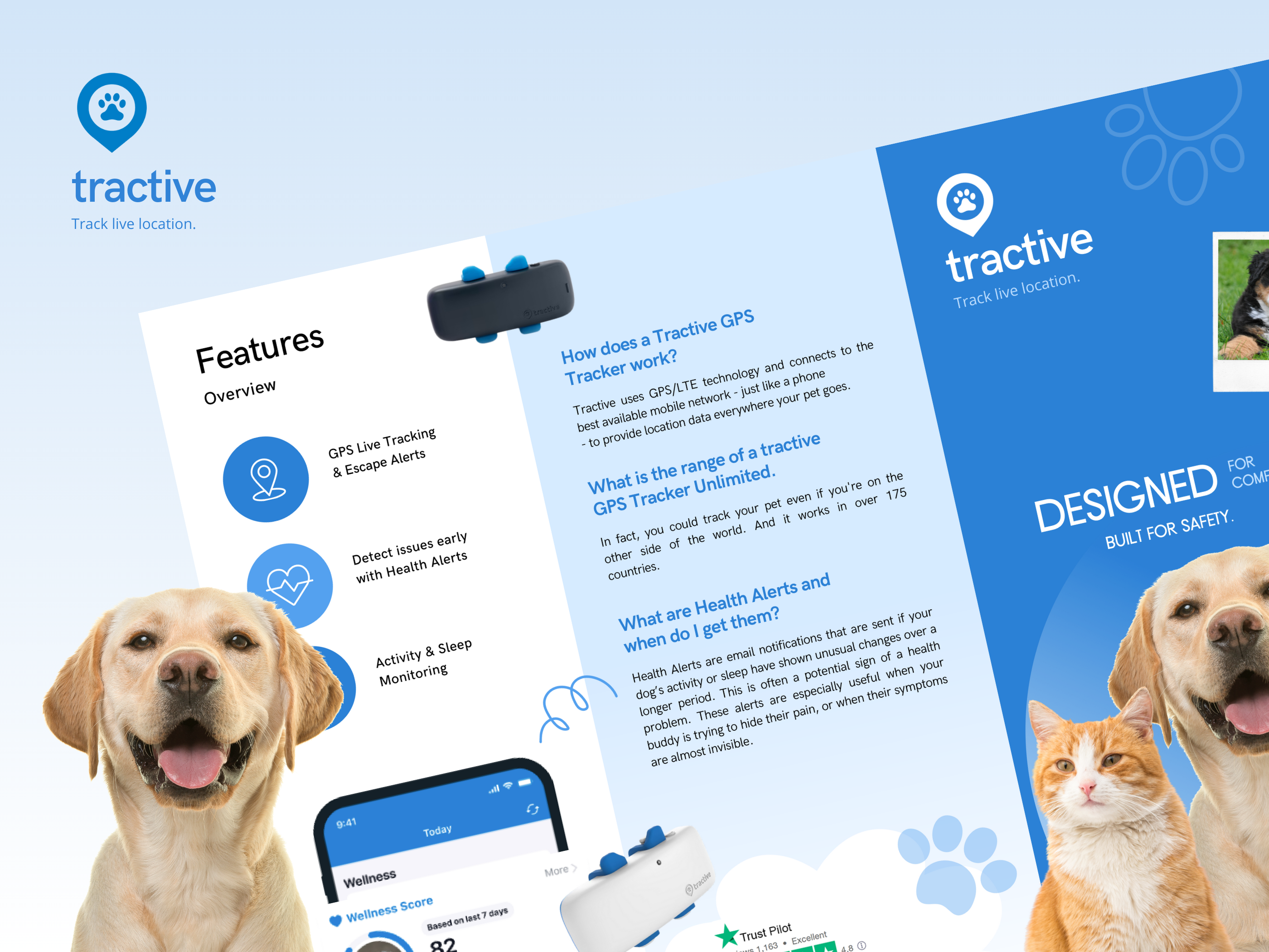 Trifold Brochure Design blue brochure design device dog graphic design illustration pets photoshop tracking trifold brochure design ui vector