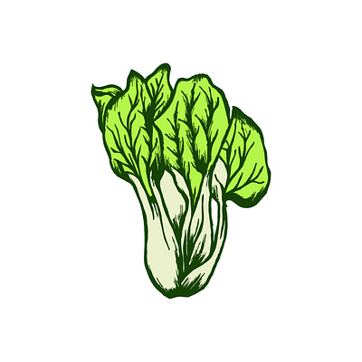Collard Green Illustration cooking cuisine culinary drawing flavorful fresh garden green harvest healthy hearty illustration ingredient leafy nutrient nutritious southern vector vegetables vibrant