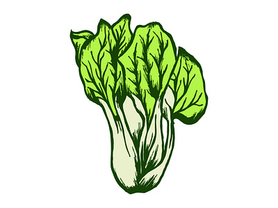 Collard Green Illustration cooking cuisine culinary drawing flavorful fresh garden green harvest healthy hearty illustration ingredient leafy nutrient nutritious southern vector vegetables vibrant