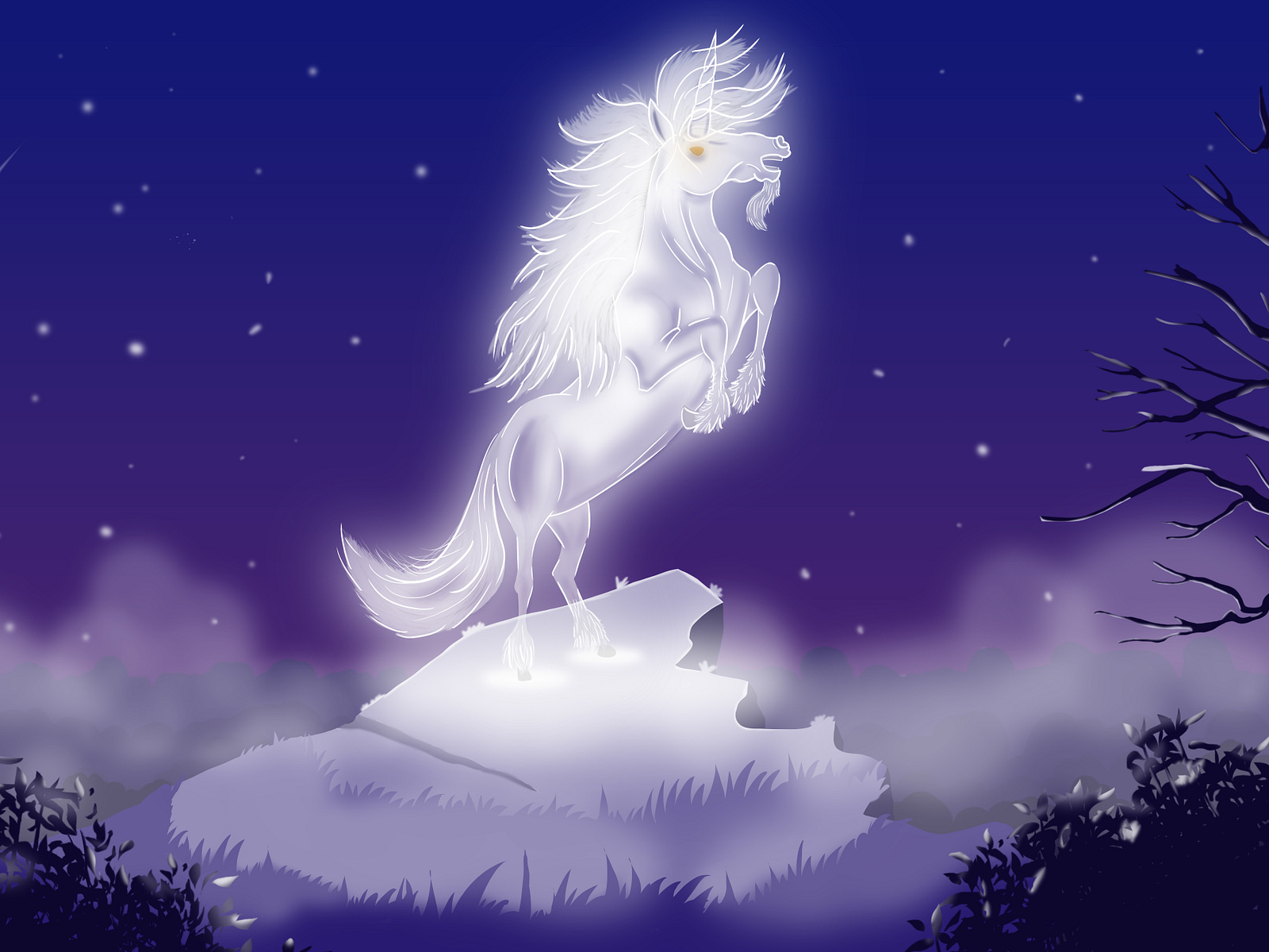 Unicorn by Shah Areq Mohaimen on Dribbble