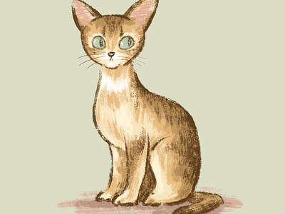 Abyssinian animal cat character kitten kitty pet