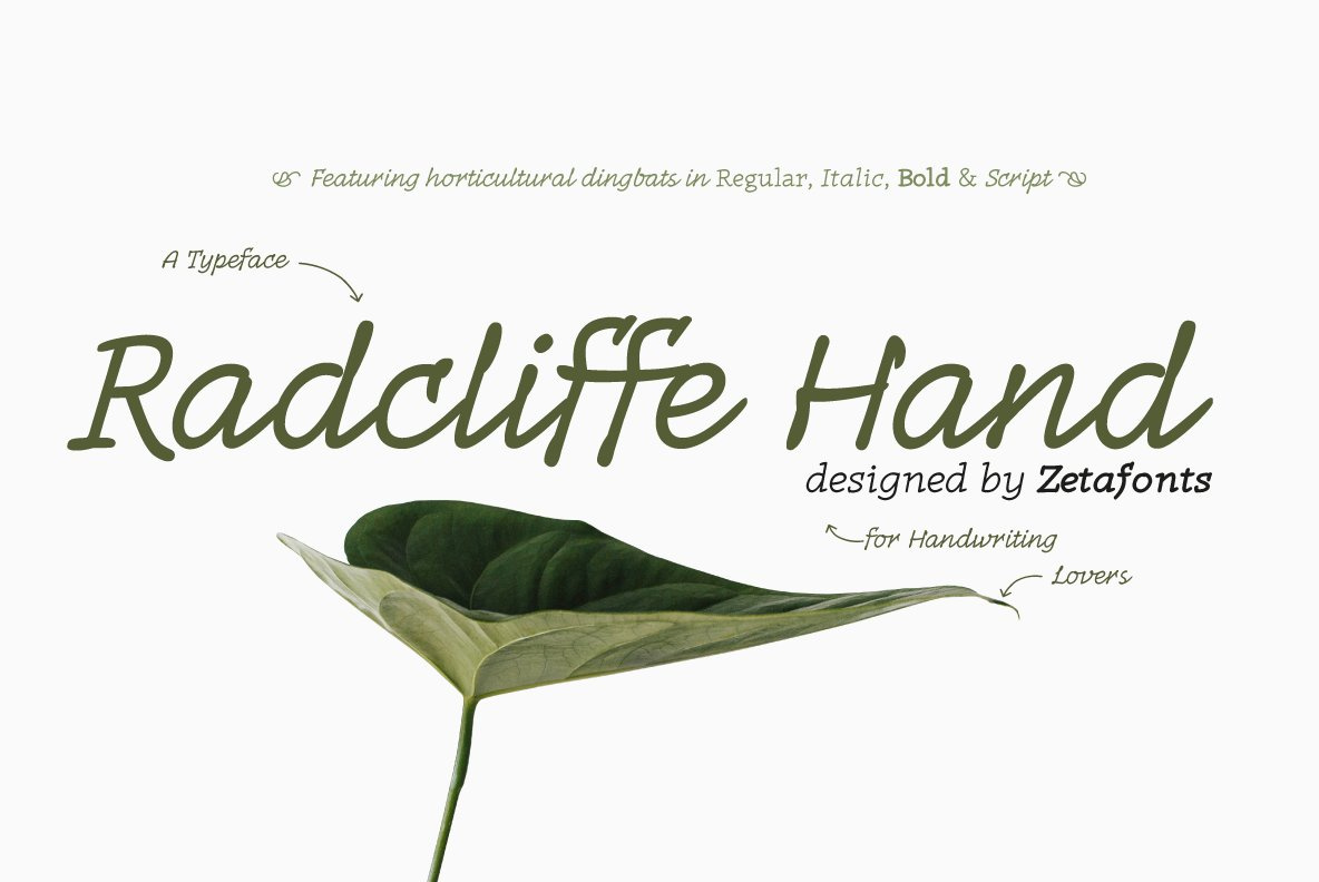 Radcliffe Hand - 7 Fonts by Semple Font Design on Dribbble