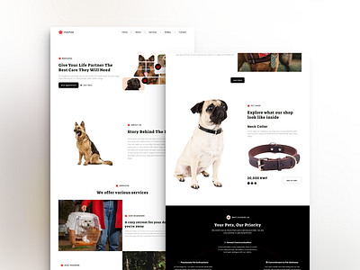 Paw Paw - Dog Website design landing page ui ui website ux website