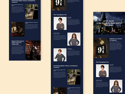 Web design for a Longread design harry potter longread ui ux web design