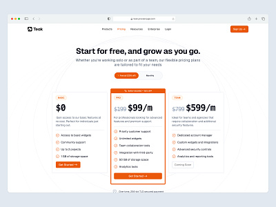 Pricing Page 📄 design landing landing page pricing pricing plan saas ui web design