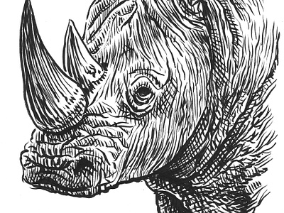 Rhino animals art artist artwork drawing hand drawn illustration ink rhino sketch