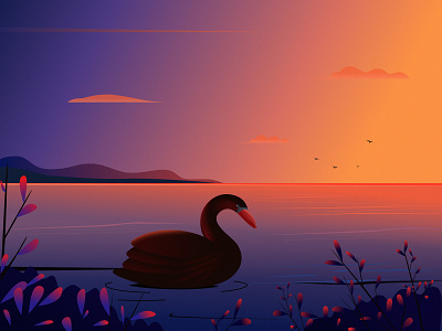 Elegant Bird bird cloud cure design digital illustration illustration lake mountain nature people sky sunset swan travel tree winter