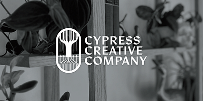 Cypress Creative Company brand refresh branding color color palette graphic design logo logo design rebrand typography