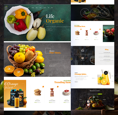 Organic Fruit & vegetables Store Website app branding design graphic design illustration logo typography ui ux vector